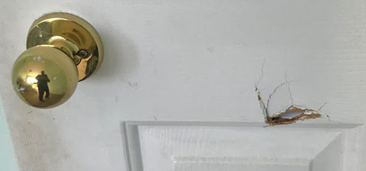 interior door hole repair Santa Rosa